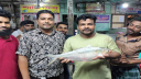 এক ইলিশের দাম ৭৬৪০ টাকা এক ইলিশের দাম ৭৬৪০ টাকা