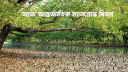 আজ আন্তর্জাতিক ম্যানগ্রোভ দিবস আজ আন্তর্জাতিক ম্যানগ্রোভ দিবস