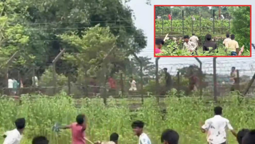 সীমান্তে দুই দেশের নাগরিকদের মধ্যে ইট-পাটকেল সীমান্তে দুই দেশের নাগরিকদের মধ্যে ইট-পাটকেল