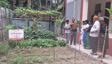 শিক্ষার্থী-কৃষক উদ্যোগে পতিত জমিতে সবুজ স্বপ্ন