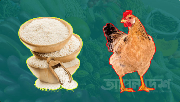 কাঁচাবাজারে অস্বস্তির মধ্যেই বাড়ল চাল-মুরগির দাম কাঁচাবাজারে অস্বস্তির মধ্যেই বাড়ল চাল-মুরগির দাম