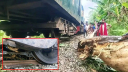 ইঞ্জিন লাইনচ্যুত, নীলফামারীর সঙ্গে রেল যোগাযোগ বন্ধ