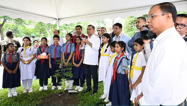 শিক্ষার্থীদের বছরে একটি করে গাছ লাগানোর আহবান প্রধানমন্ত্রীর শিক্ষার্থীদের বছরে একটি করে গাছ লাগানোর আহবান প্রধানমন্ত্রীর