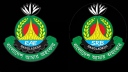 এসআরবির যাত্রা শুরু
