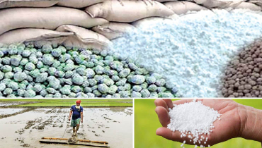 সারে কৃত্রিম সংকট: উপজেলা পর্যায়ে তদারকিতে মিলতে পারে স্বস্তি সারে কৃত্রিম সংকট: উপজেলা পর্যায়ে তদারকিতে মিলতে পারে স্বস্তি