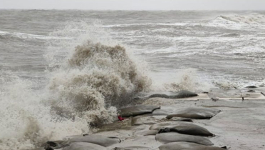 সাগরে লঘুচাপ, বৃষ্টি-তাপপ্রবাহ নিয়ে নতুন বার্তা