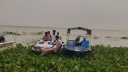 পদ্মায় ট্রলারডুবি, ২৩ গরুসহ নিখোঁজ ১