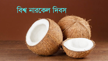 বিশ্ব নারকেল দিবস আজ 