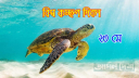 বিশ্ব কচ্ছপ দিবস আজ বিশ্ব কচ্ছপ দিবস আজ