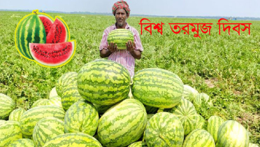 আজ বিশ্ব তরমুজ দিবস