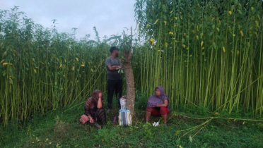 তিনজনকে পুশইনের চেষ্টা বিএসএফের, প্রতিহত করল বিজিবি