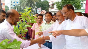 বিএনপির প্রতিষ্ঠাবার্ষিকী উপলক্ষে টাঙ্গাইলে বৃক্ষরোপণ-চারা বিতরণ বিএনপির প্রতিষ্ঠাবার্ষিকী উপলক্ষে টাঙ্গাইলে বৃক্ষরোপণ-চারা বিতরণ