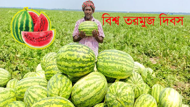 আজ বিশ্ব তরমুজ দিবস