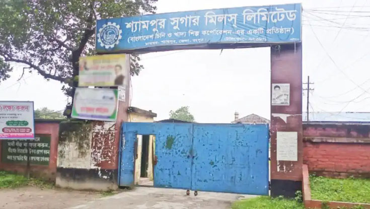 দর বৃদ্ধির কারণ জানে না শ্যামপুর সুগার