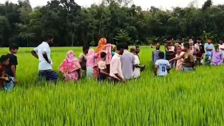 ধানক্ষেতে নারীর মরদেহ উদ্ধার