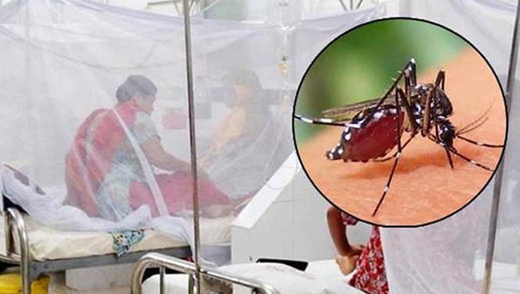 ডেঙ্গুতে একদিনে রেকর্ড মৃত্যু