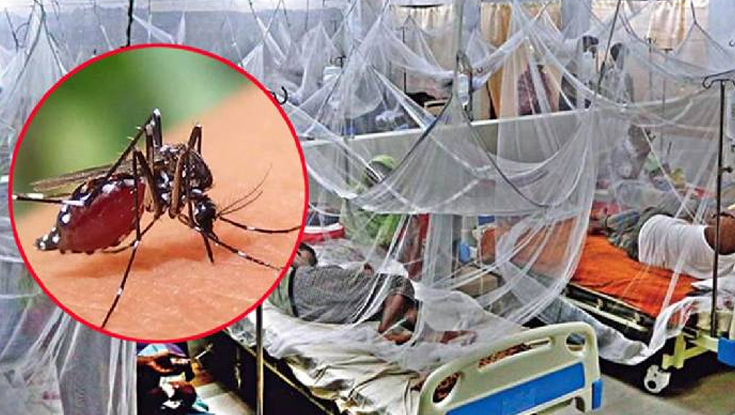 ডেঙ্গুতে আরও ৬ জনের মৃত্যু