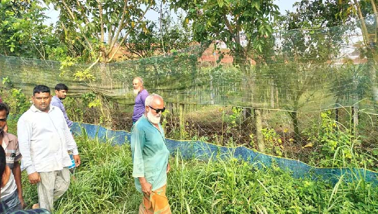 ড্রাগন বাগানে বৈদ্যুতিক ফাঁদে কিশোরের মৃত্যু