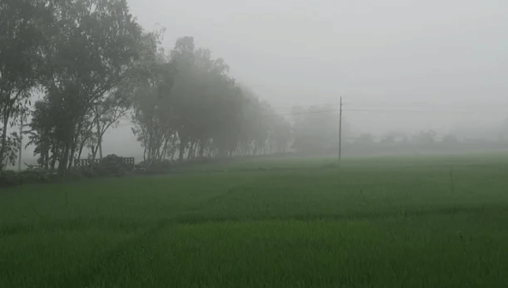 উত্তরে শীতের আগমনী বার্তা, তাপমাত্রা  ১৭ ডিগ্রিতে