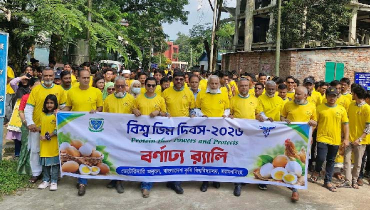 বাকৃবিতে সাড়ে ৩ হাজার ডিম বিতরণ বাকৃবিতে সাড়ে ৩ হাজার ডিম বিতরণ