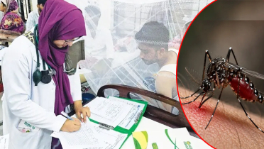 ডেঙ্গুতে আরও ৯ জনের মৃত্যু ডেঙ্গুতে আরও ৯ জনের মৃত্যু