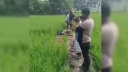 ইঁদুর মারার বৈদ্যুতিক ফাঁদে প্রাণ গেল কৃষকের ইঁদুর মারার বৈদ্যুতিক ফাঁদে প্রাণ গেল কৃষকের