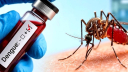 ডেঙ্গুতে ৩ জনের মৃত্যু