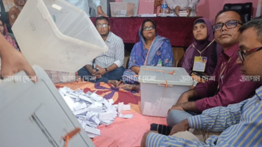 ঠাকুরগাঁও-১ আসনে ভোটগ্রহণ শেষে চলছে গণনা
