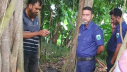 চাটমোহরে চুরি হওয়া ১৭ ল্যাপটপ পরিত্যক্ত অবস্থায় উদ্ধার