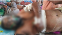 নাটোরে মুয়াজ্জিনকে ছুরিকাঘাত