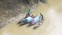 সুরমা নদীতে মাছ শিকার সুরমা নদীতে মাছ শিকার