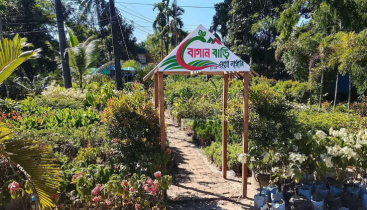 দক্ষিণ সুরমায় নজর কাড়ছে ‘বাগান বাড়ি এগ্রো নার্সারী’ দক্ষিণ সুরমায় নজর কাড়ছে ‘বাগান বাড়ি এগ্রো নার্সারী’