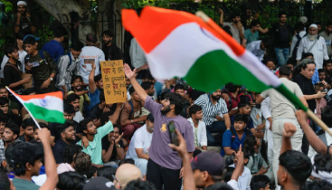 ককরোচদের সমাবেশে ইন্টারনেট বন্ধের নির্দেশ ককরোচদের সমাবেশে ইন্টারনেট বন্ধের নির্দেশ