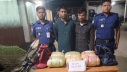 সাড়ে ১২ কেজি গাঁজাসহ দুই মাদক কারবারি গ্রেফতার সাড়ে ১২ কেজি গাঁজাসহ দুই মাদক কারবারি গ্রেফতার
