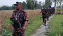 সীমান্তে ১২ জনকে পুশইনের চেষ্টা রুখে দিলো বিজিবি