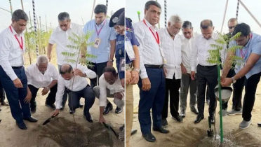প্রধানমন্ত্রীর হাতে সবুজায়ন কর্মসূচির উদ্বোধন