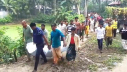 হলুদ ক্ষেতে মিলল ব্যবসায়ীর আগুনে পোড়া মরদেহ হলুদ ক্ষেতে মিলল ব্যবসায়ীর আগুনে পোড়া মরদেহ