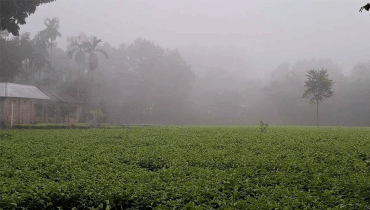 তাপমাত্রা নামলো ১৬ ডিগ্রিতে তাপমাত্রা নামলো ১৬ ডিগ্রিতে